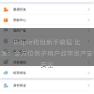 Bitpie钱包新手教程 比特派：全方位保护用户数字资产安全