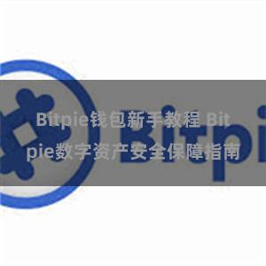 Bitpie钱包新手教程 Bitpie数字资产安全保障指南