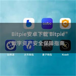 Bitpie安卓下载 Bitpie数字资产安全保障指南