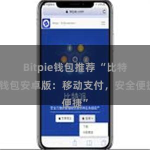 Bitpie钱包推荐 “比特派钱包安卓版：移动支付，安全便捷”