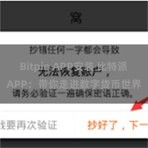 Bitpie APP安装 比特派APP：带你走进数字货币世界