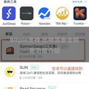 Bitpie支持 比特派安全转账功能介绍
