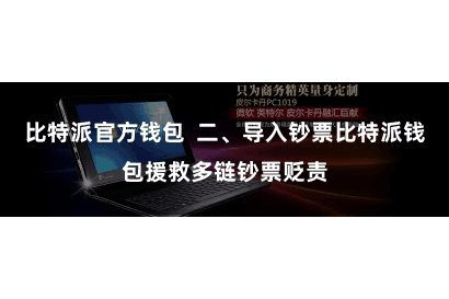 比特派官方钱包  二、导入钞票比特派钱包援救多链钞票贬责