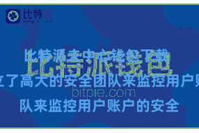 比特派去中心钱包下载  比特派建立了高大的安全团队来监控用户账户的安全