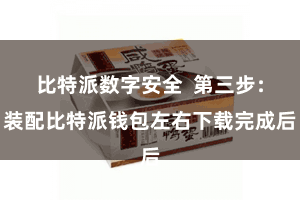 比特派数字安全  第三步：装配比特派钱包左右下载完成后